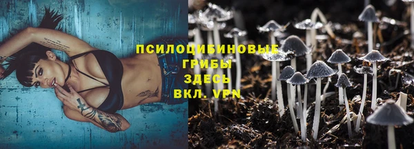 дмт Гусь-Хрустальный