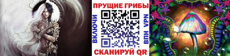 Псилоцибиновые грибы прущие грибы  Купить где  Зеленодольск 